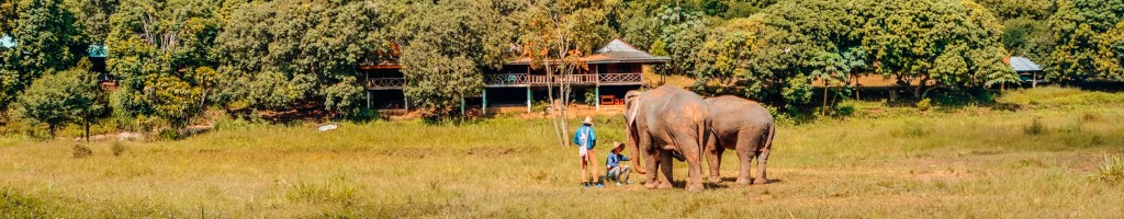 Baan Chang Elephant Park: refugio ético y santuario de elefantes en Chiang Mai